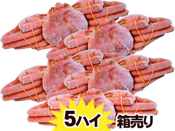 【特売】ボイルずわい蟹姿5尾箱売り