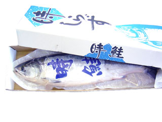 定置網 汐ときしらず鮭を通販でお取り寄せ