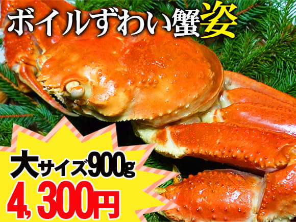 ズワイ蟹