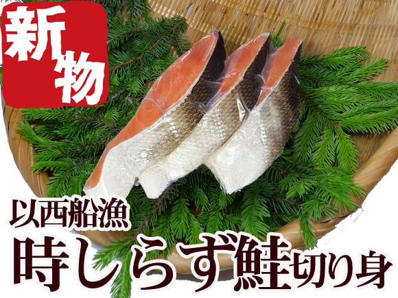 ときしらず鮭１尾姿