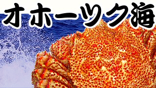 海明け毛がに特集