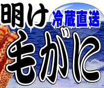 海明け毛がに特集