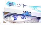 【新物】定置網生ときしらず鮭（セミドレス）