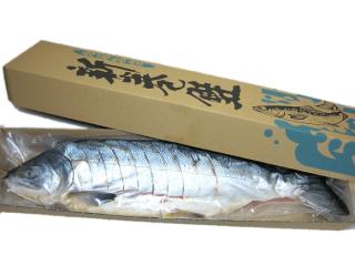 【決算】北海道産新巻鮭切り身姿造り1.3キロ前後