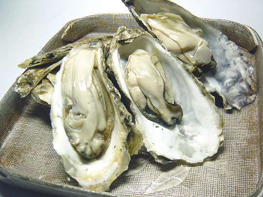 厚岸産とれたて活牡蠣（M）30個