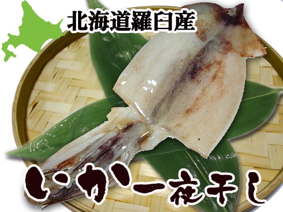 イカ一夜干し