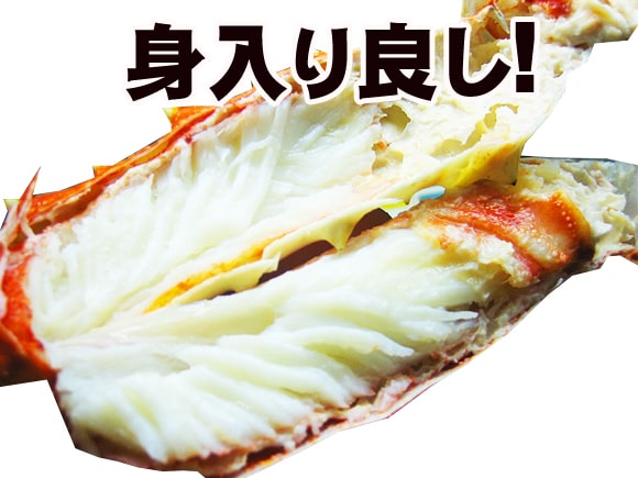 身の入り十分でぷりぷりの食感が楽しめます