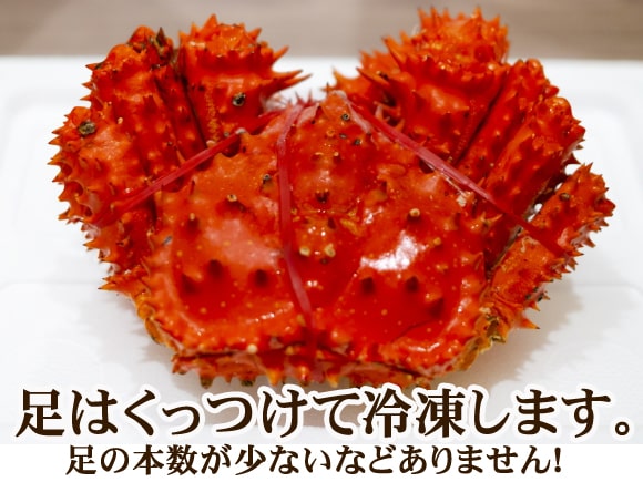 花咲ガニカット