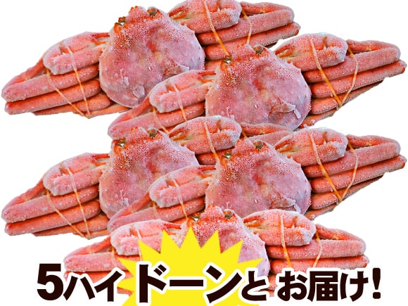 オオズワイカニ