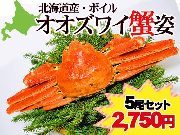 オオズワイカニ