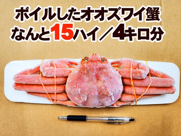 オオズワイカニ