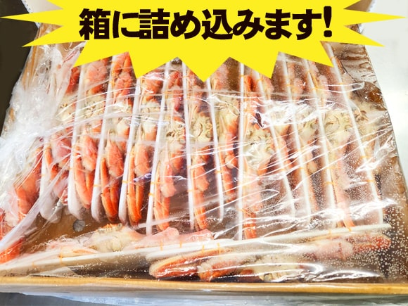 オオズワイカニ