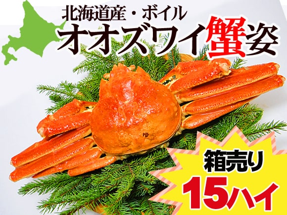 オオズワイカニ