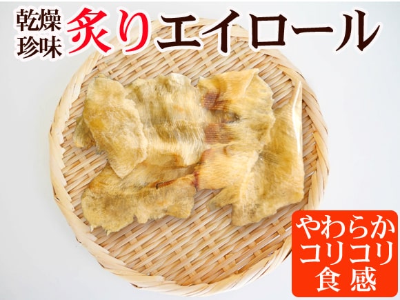 えいひれ写真