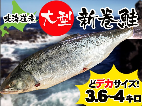 オホーツク産新巻鮭