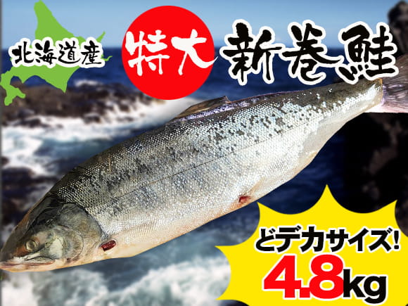 オホーツク産新巻鮭