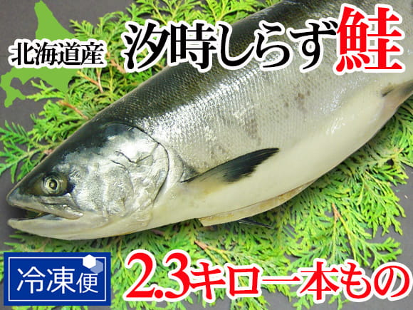 極上の時しらず