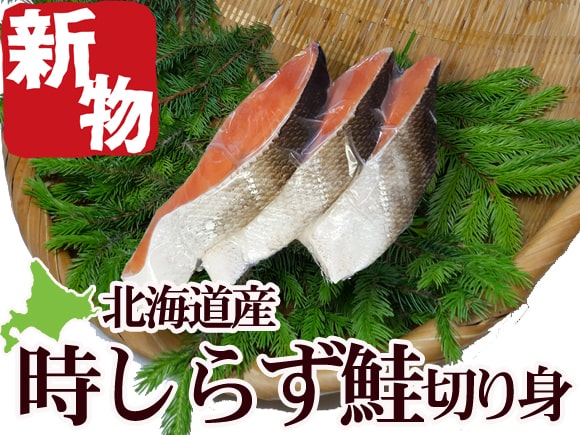 ときしらず鮭１尾姿